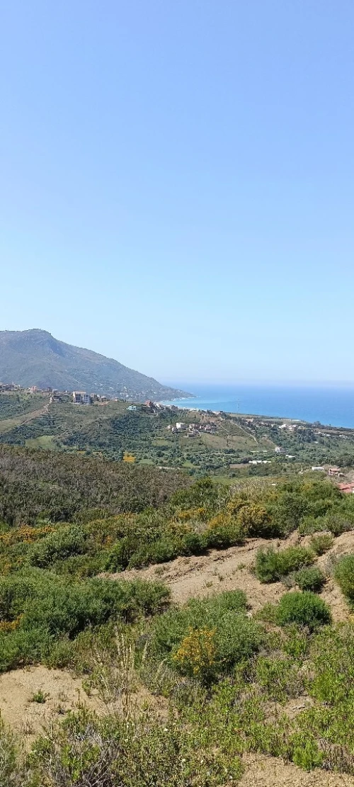 Vente Terrain Tizi Ouzou Azeffoun
