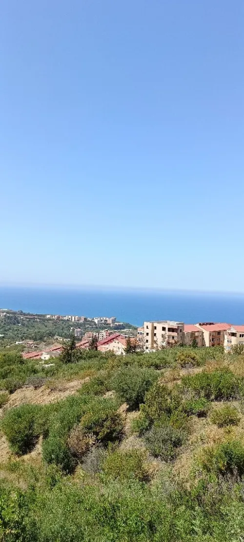 Vente Terrain Tizi Ouzou Azeffoun