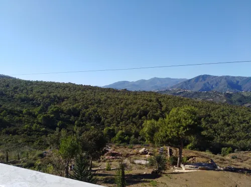 Vente Terrain Tizi Ouzou Azeffoun