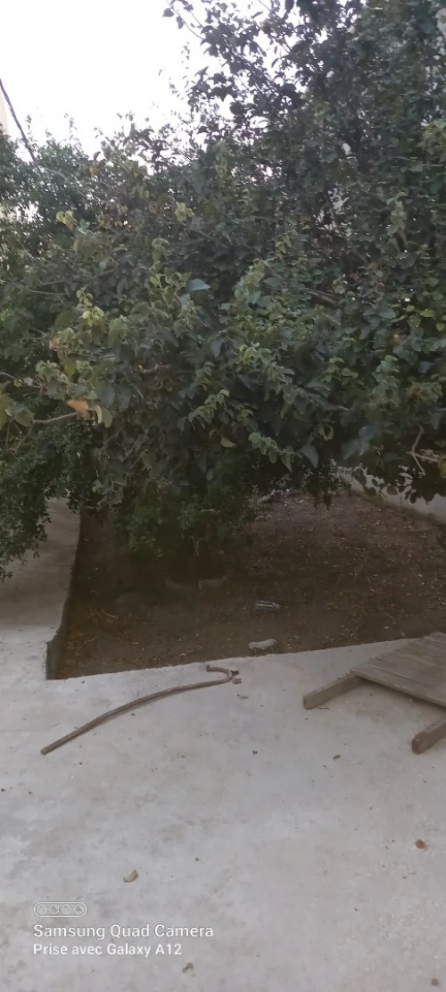 Vente Villa Annaba El bouni