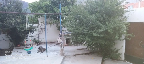 Vente Villa Annaba El bouni