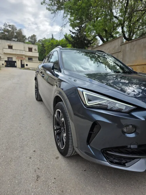 Seat Cupra Formentor 2023 