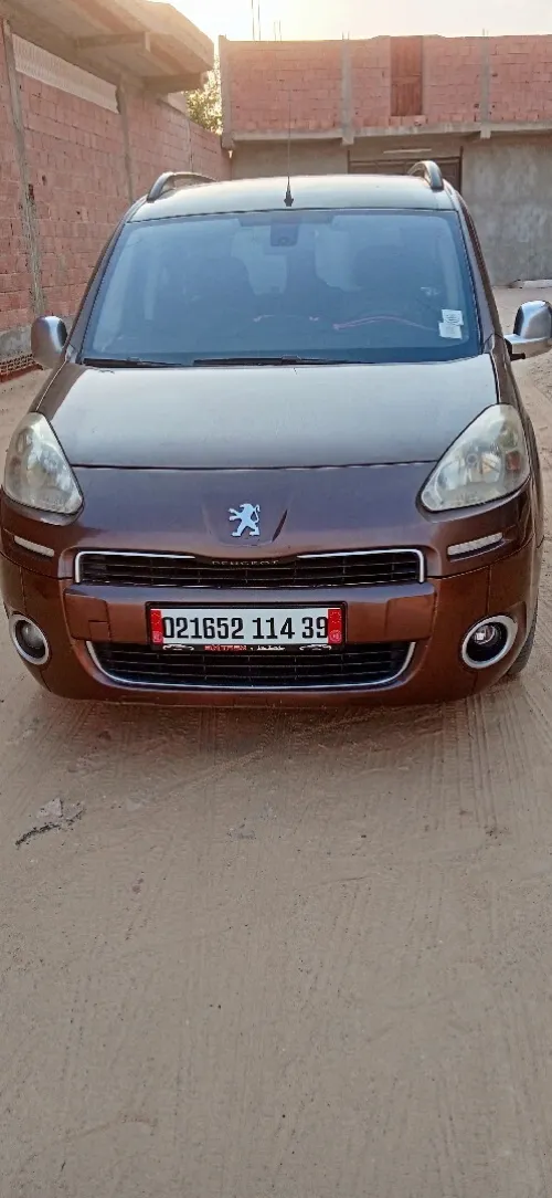 Peugeot Partner 2014 Tepee