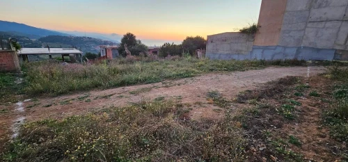 Vente Terrain Tipaza Cherchell
