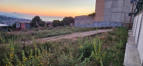 Vente Terrain Tipaza Cherchell