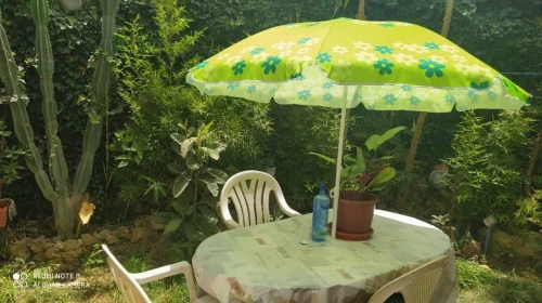 Vente Villa Alger El marsa