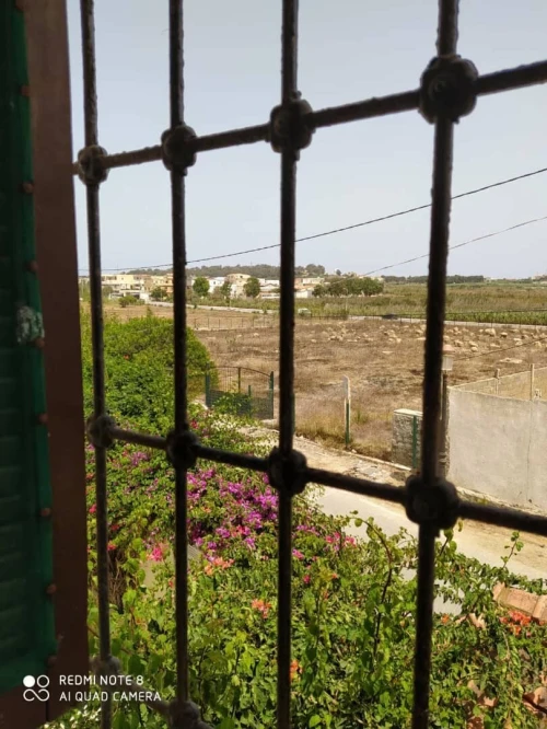 Vente Villa Alger El marsa