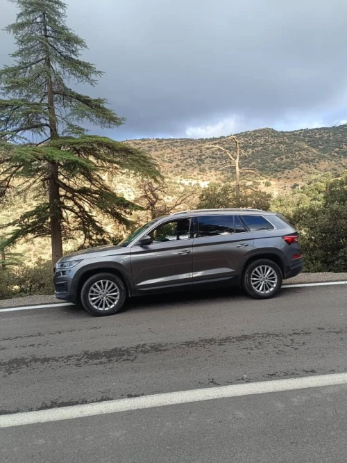 Skoda Kodiaq 2024 