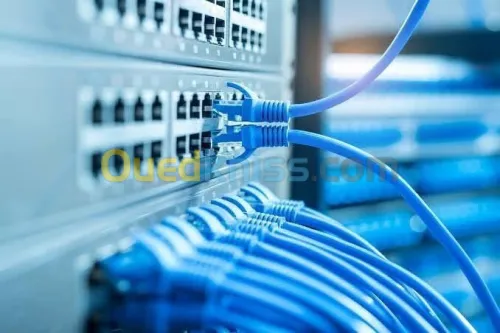 Installation et Maintenance de Réseau informatique et standard telephonique 