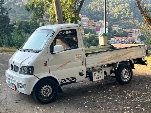 DFSK Mini Truck 2014 SC 2m30
