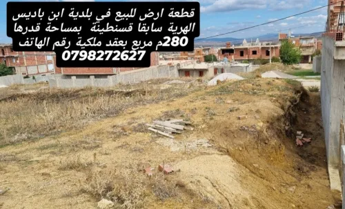 Vente Terrain Constantine El haria