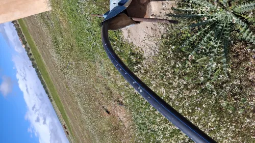 Vente Terrain Agricole Djelfa Birine