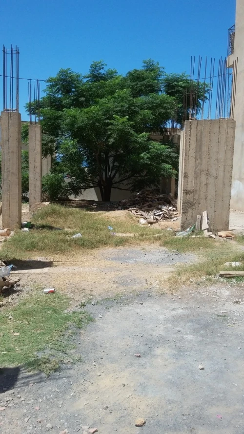 Vente Terrain Tipaza Fouka