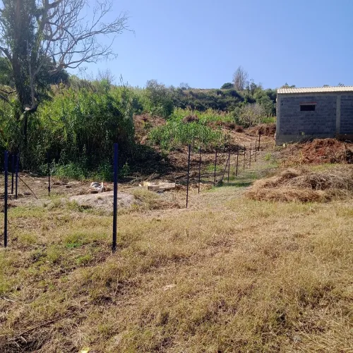 Vente Terrain Tizi Ouzou Tigzirt