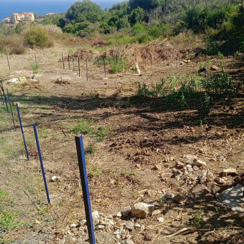 Vente Terrain Tizi Ouzou Tigzirt