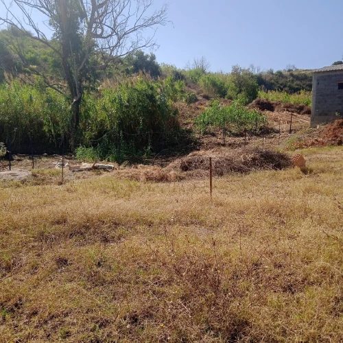 Vente Terrain Tizi Ouzou Tigzirt