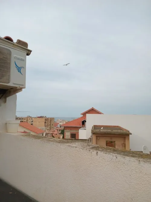 Location Appartement Duplex F4 Alger Hussein dey 4
