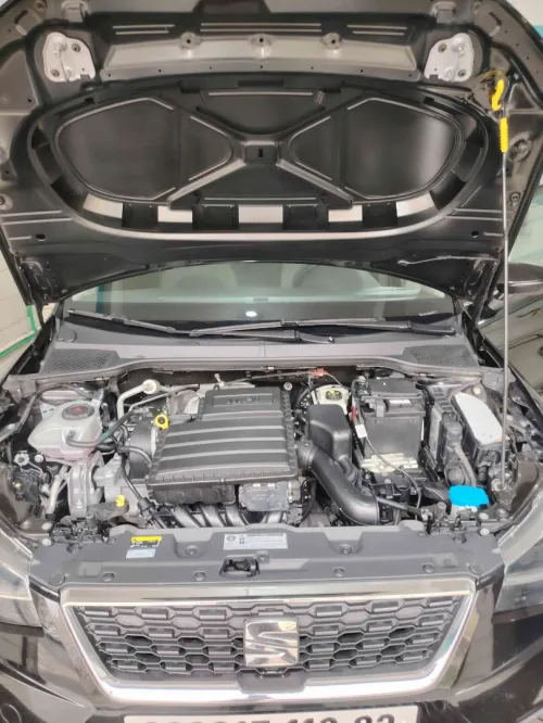 Seat Ibiza 2019 