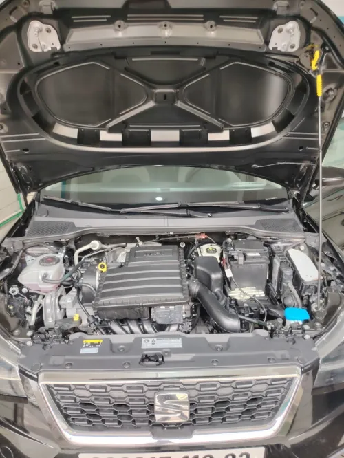 Seat Ibiza 2019 Advanced