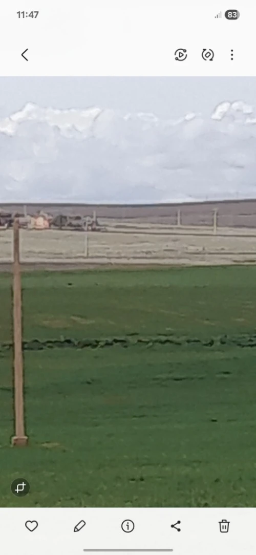 Vente Terrain Agricole Tiaret Ain deheb