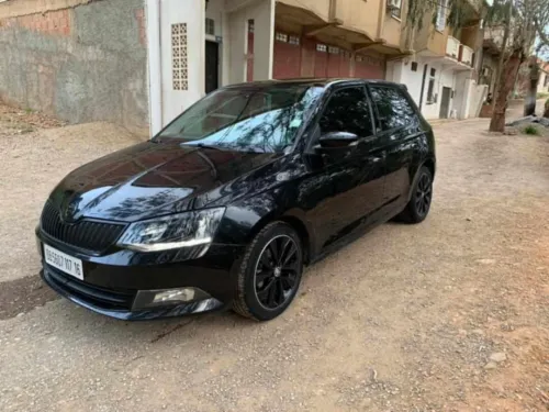 Skoda Fabia 2017 Monte Carlo