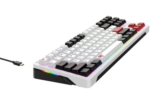 CLAVIER HAVIT KB902L