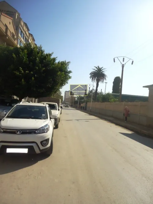 Location Local Bejaia Bejaia