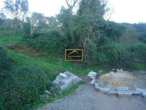 Vente Terrain Béjaïa Bejaia