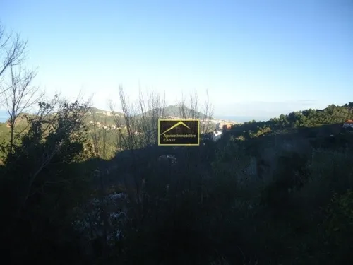 Vente Terrain Béjaïa Bejaia