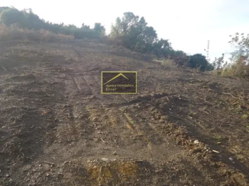 Vente Terrain Béjaïa Bejaia