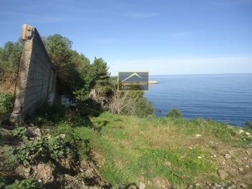 Vente Terrain Bejaia Bejaia