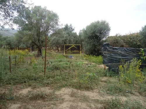 Vente Terrain Béjaïa Bejaia