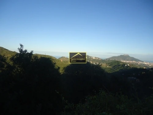 Vente Terrain Béjaïa Bejaia
