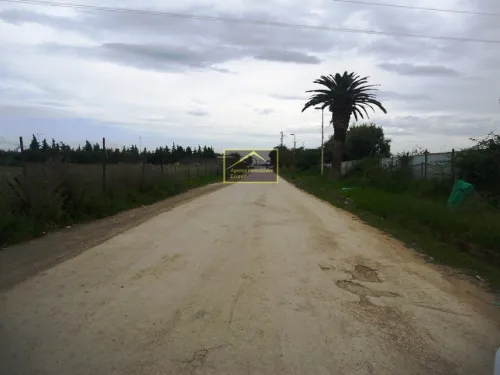 Vente Terrain Bejaia Boukhelifa