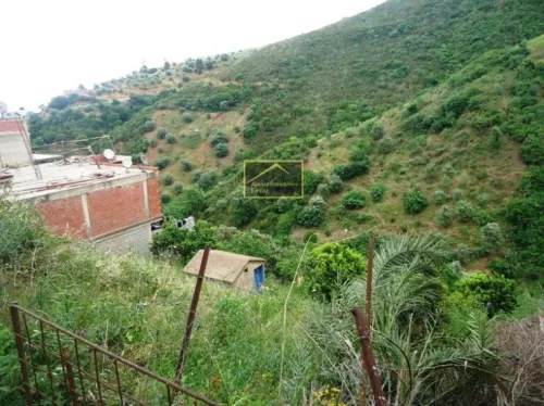 Vente Terrain Bejaia Boukhelifa