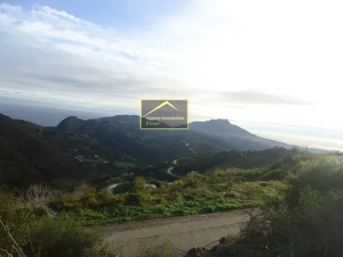 Vente Terrain Béjaïa Bejaia