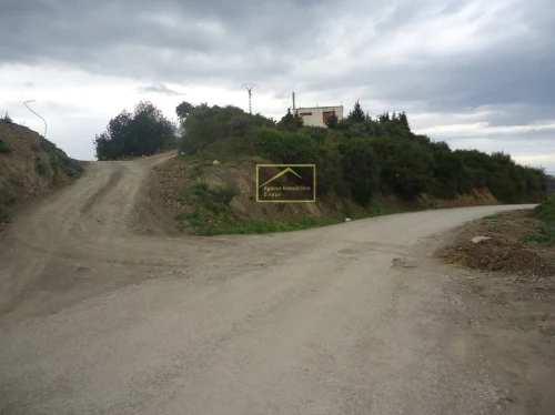 Vente Terrain Béjaïa Bejaia