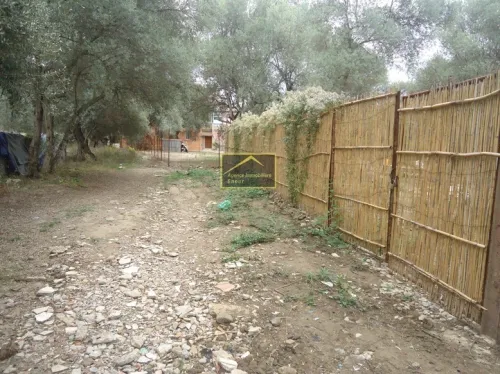 Vente Terrain Béjaïa Bejaia