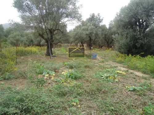 Vente Terrain Béjaïa Bejaia