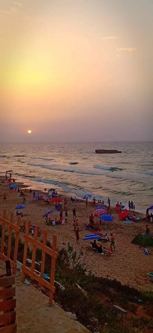 Location Appartement F3 Mostaganem Sidi lakhdaara