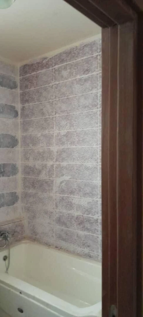 Location Appartement F3 Tipaza Bou ismail