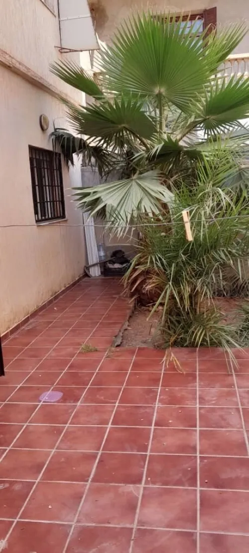 Location Appartement F3 Tipaza Bou ismail