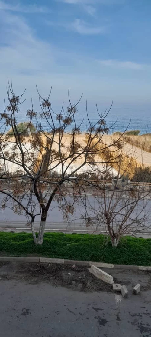Location Appartement F3 Tipaza Ain tagourait