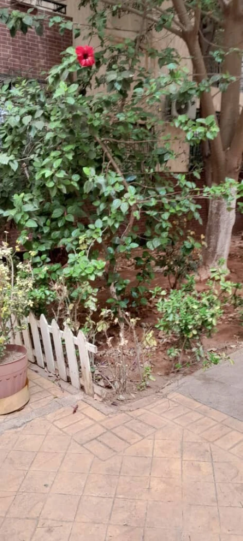 Location Appartement F5 Tipaza Bou ismail