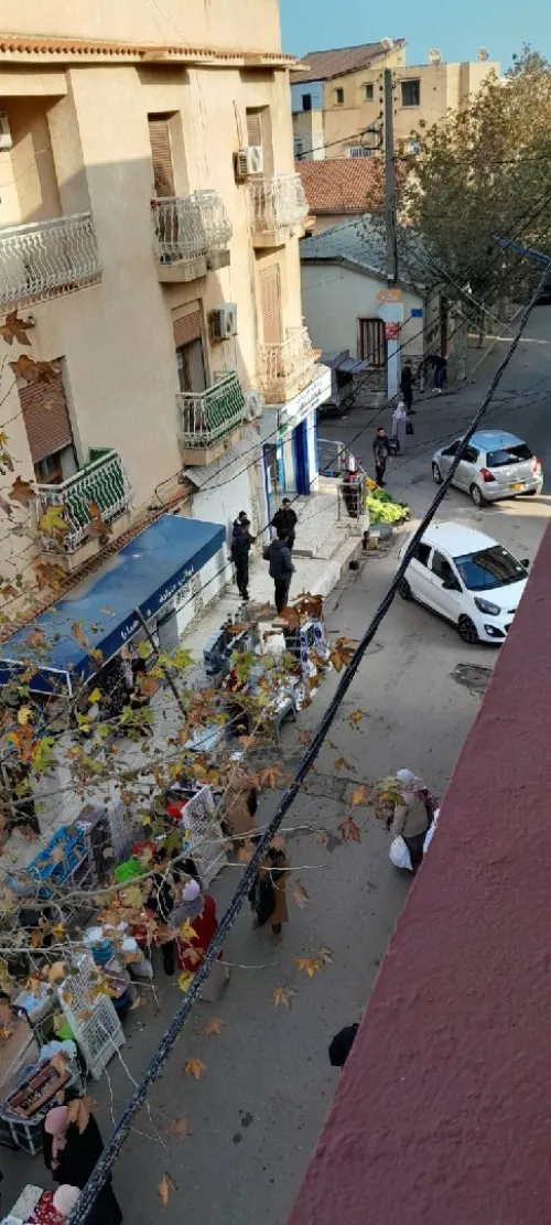 Location Appartement F3 Tipaza Bou ismail