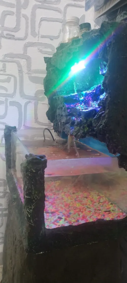 Aquarium fontaine 