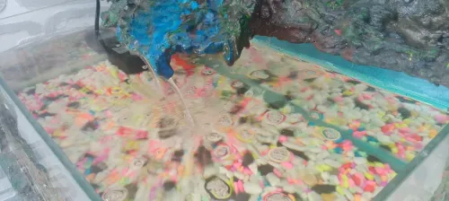 Aquarium fontaine 