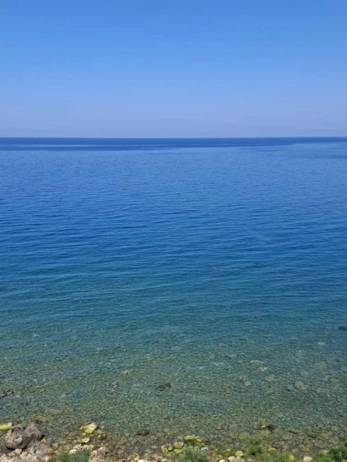 Location vacances Appartement F2 F3 Béjaïa Bejaia
