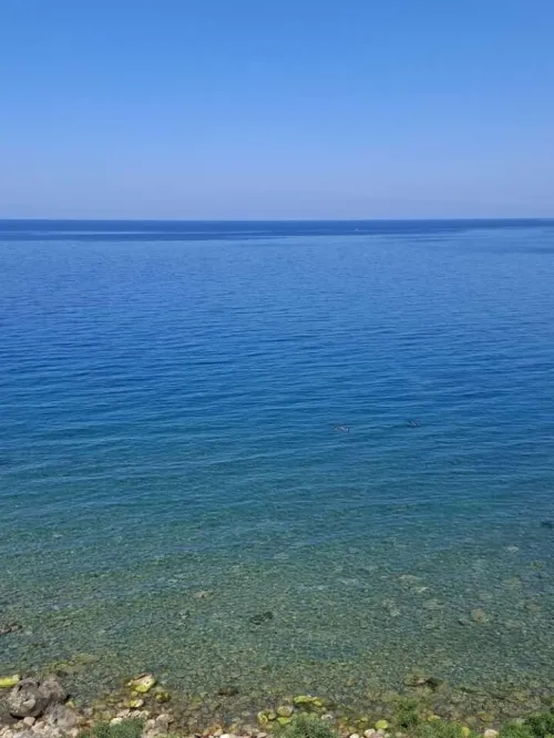 Location vacances Appartement F2 F3 Béjaïa Bejaia