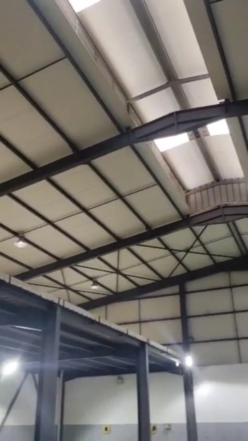 Location Hangar - Usine Tipaza Kolea